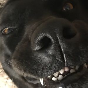 Meet your Posher, Hayes